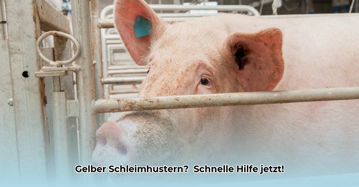 gelber-schleim-husten
